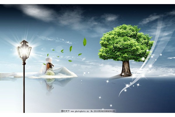 武汉礼品茶,品味人生每一刻 武汉礼品茶,品味人生每一刻